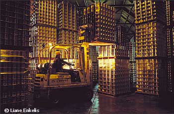 Warehouse with Forklift