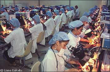 Phillipine wworkers at microscopes